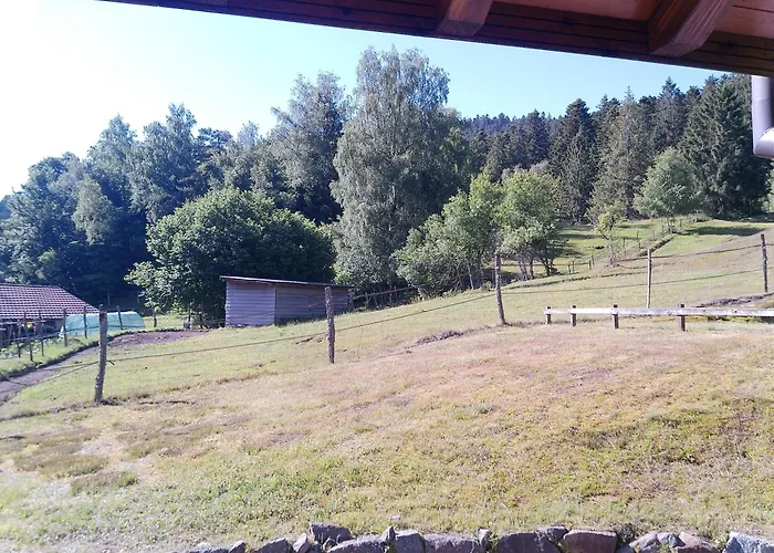 Le Bucheron Au Coeur Du Massif Des Vosges 3 Etoiles