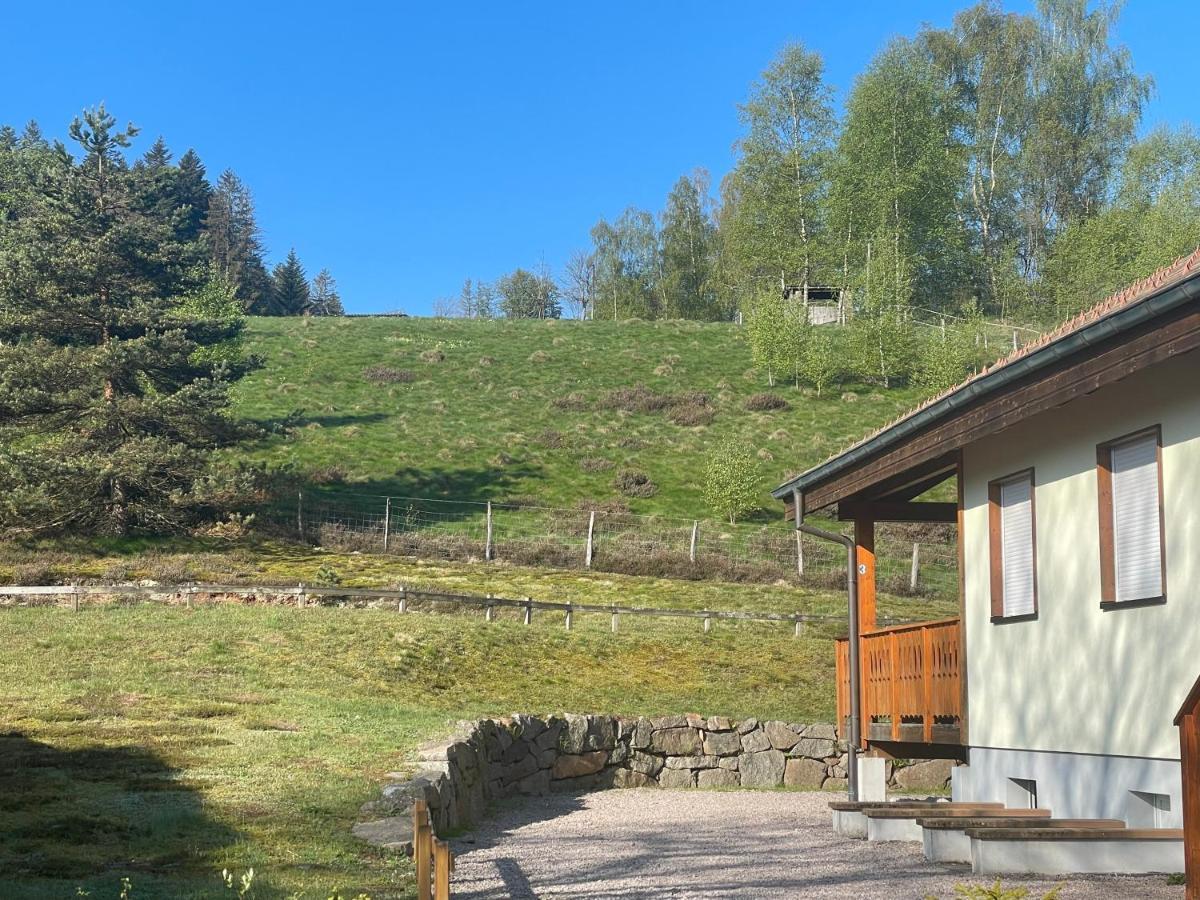 Le Bucheron Au Coeur Du Massif Des Vosges 3 Etoiles Gerardmer